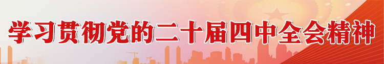 学习贯彻党的二十届四中全会精神